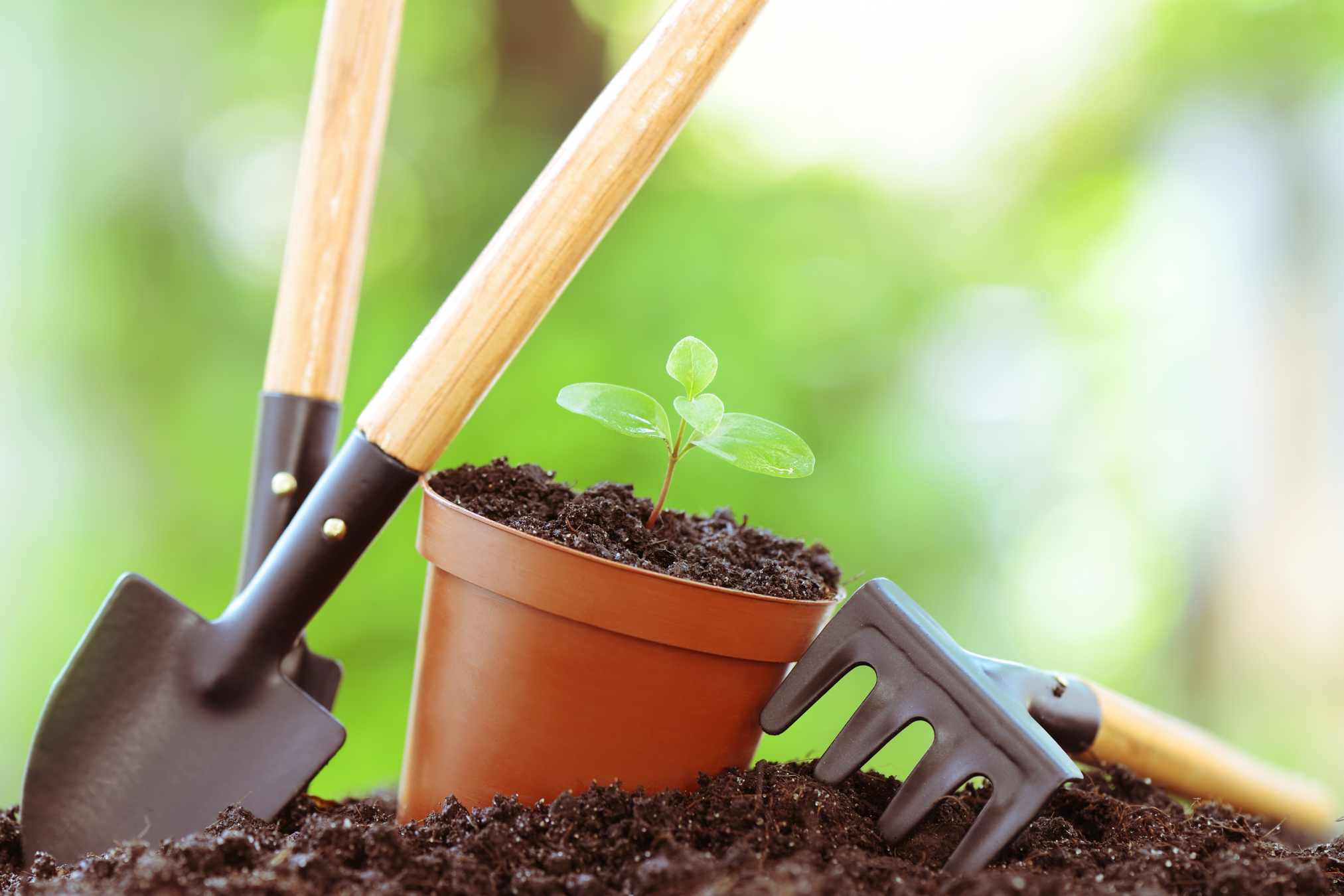 Gartenpflege
